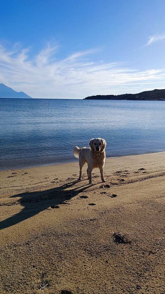 Halkidiki