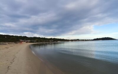 Private Transfers vs Taxis vs Buses: What’s the Best for your Halkidiki Trip?